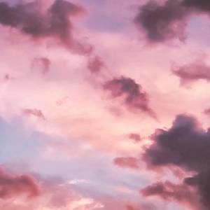 Meet your Posher, Isabella